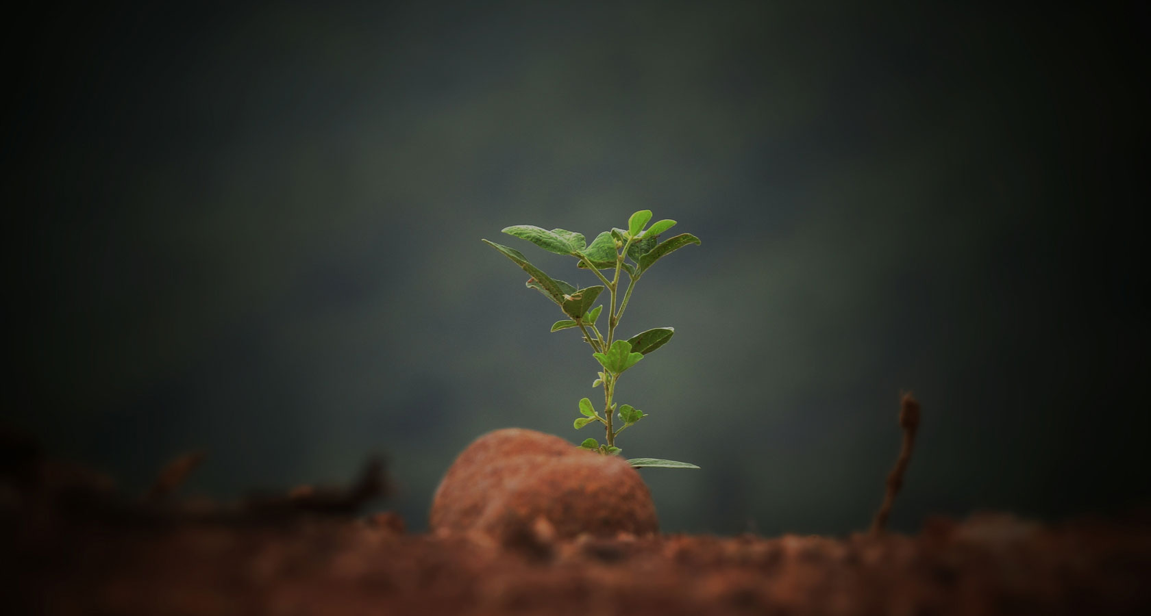 麻将胡了(中国)官方网站-IOS/安卓通用版/手机APP下载